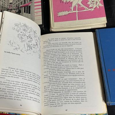 Books and Records for Learning French