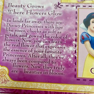 Vintage Pez Dispense Set Boxed and sealed DISNEY PRINCESS COLLECTION