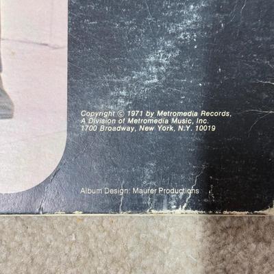 LOT 59B: Vintage Vinyl Records- Ghostbusters, Meat Loaf, Brady Bunch & More