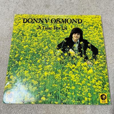 LOT 59B: Vintage Vinyl Records- Ghostbusters, Meat Loaf, Brady Bunch & More