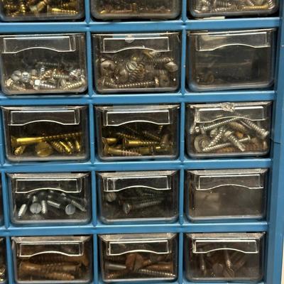 LOT 81G: Hardware Collection w/ Organizers