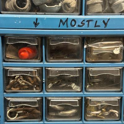 LOT 81G: Hardware Collection w/ Organizers