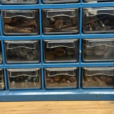 LOT 81G: Hardware Collection w/ Organizers