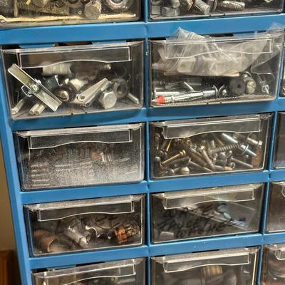 LOT 81G: Hardware Collection w/ Organizers