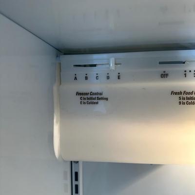 LOT 89G: General Electric Company Refrigerator model TFX25JPCC WW