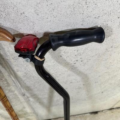 LOT 96B: Walking Stick/Cane Collection