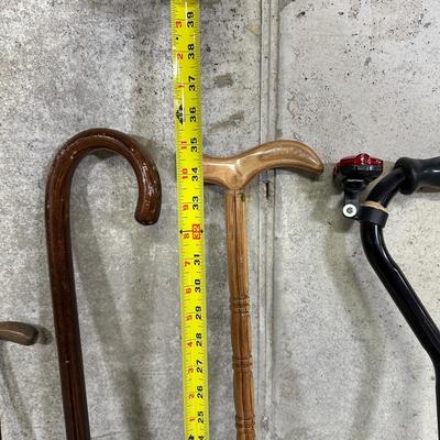 LOT 96B: Walking Stick/Cane Collection