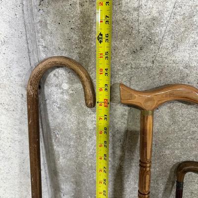 LOT 96B: Walking Stick/Cane Collection