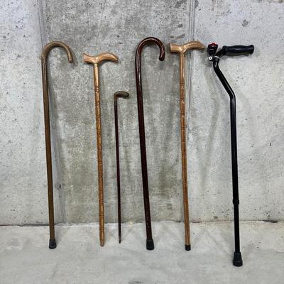LOT 96B: Walking Stick/Cane Collection