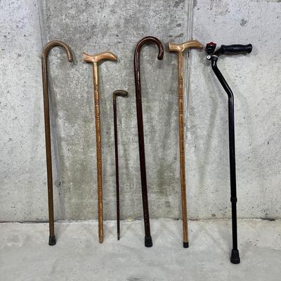 LOT 96B: Walking Stick/Cane Collection
