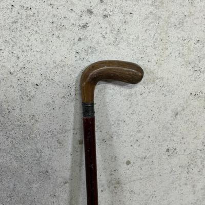 LOT 96B: Walking Stick/Cane Collection