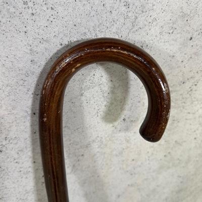 LOT 96B: Walking Stick/Cane Collection