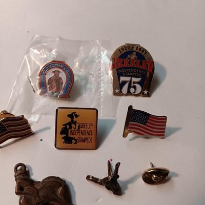 GREELEY STAMPEDE AND OTHER PINS