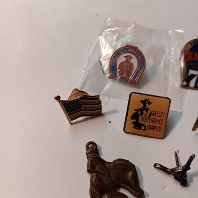 GREELEY STAMPEDE AND OTHER PINS