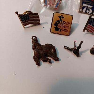 GREELEY STAMPEDE AND OTHER PINS