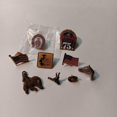 GREELEY STAMPEDE AND OTHER PINS