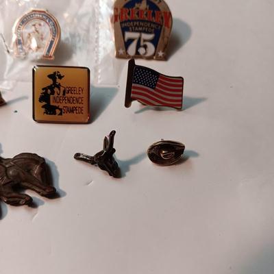 GREELEY STAMPEDE AND OTHER PINS
