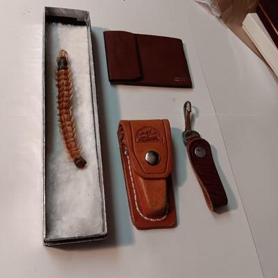 LARGE DRIED CENTIPEDE LIKE INSECT, PHOTO WALLET, POCKET WATCH CHAIN AND LEATHER KNIFE SHEATH