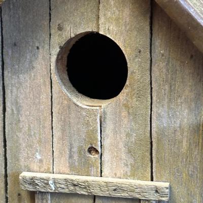 Sturdy Wood Bird House with Metal Roof