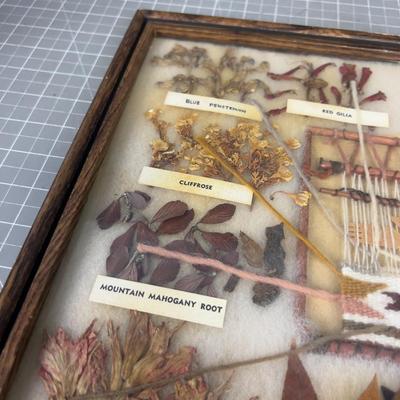 Small Framed Navajo Rug Dye Sources