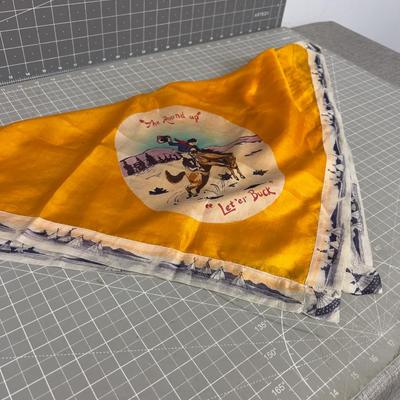 MOST AWESOME Silk  Cowboy Scarf "Let'er Buck" LOVELY Village around the Edge
