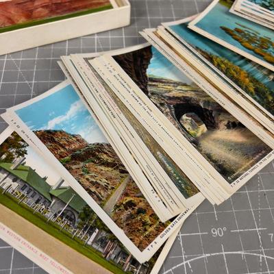 Set of 50 Yellowstone Park, Views Postcards, 1950's 