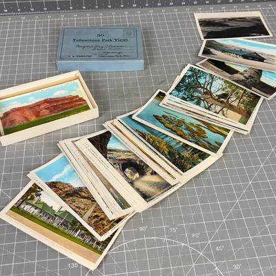Set of 50 Yellowstone Park, Views Postcards, 1950's 