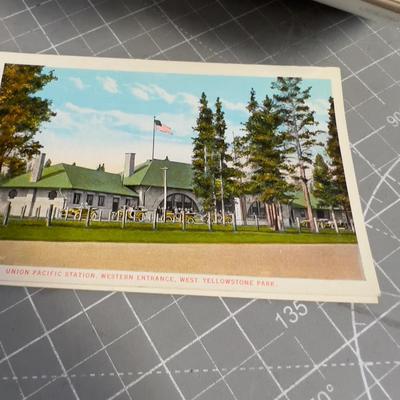 Set of 50 Yellowstone Park, Views Postcards, 1950's 