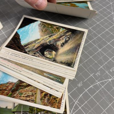 Set of 50 Yellowstone Park, Views Postcards, 1950's 