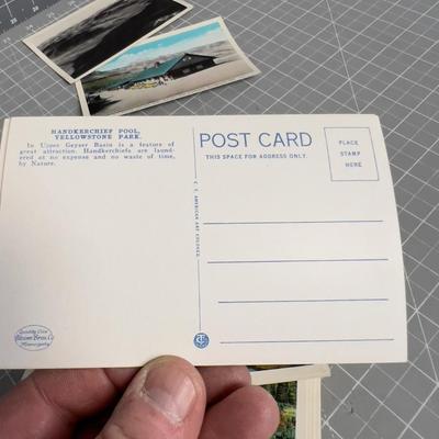 Set of 50 Yellowstone Park, Views Postcards, 1950's 
