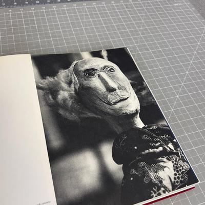 The Doll (for Doll Collecting) 