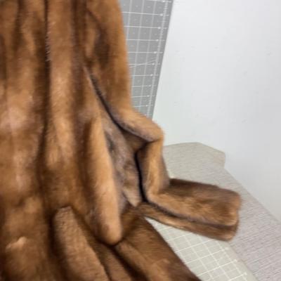 Arent's Mink Coat