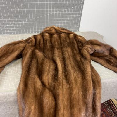 Arent's Mink Coat