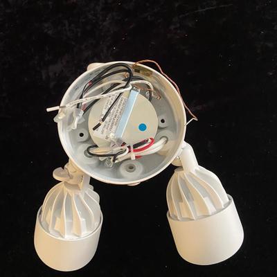 Ring Floodlight Camera (D-BM)
