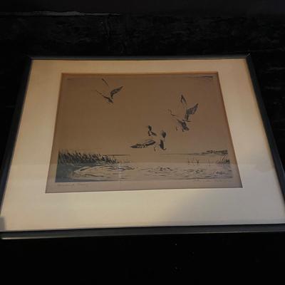 Signed Original Mallards Rising Etching and More (D-BM)