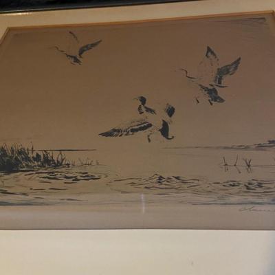 Signed Original Mallards Rising Etching and More (D-BM)