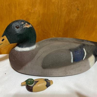 Wood ducks