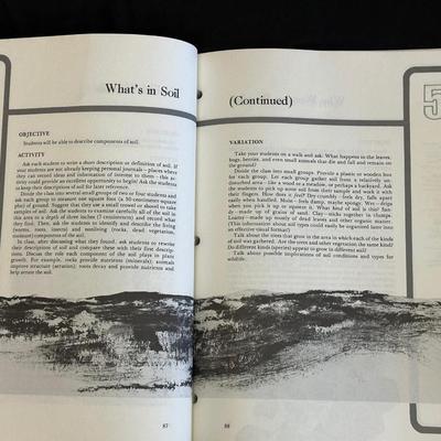 Books & Lessons for Teachers & Students