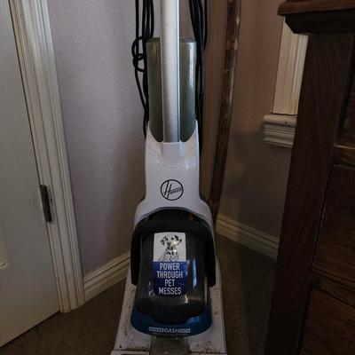 Hoover pet cleaner