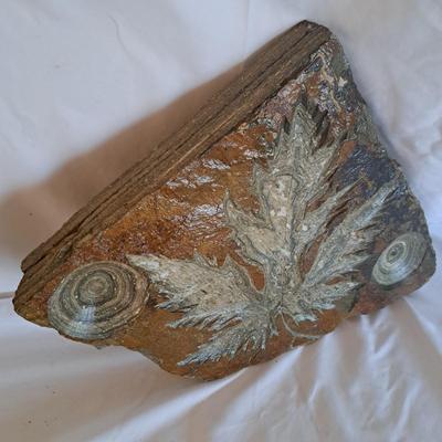 Jim Gunter Leaf Sculpture & Metal Fern Wall Hanging (LR-SD)