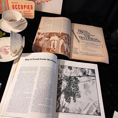 Nostalgic Memorabilia - Cornell, Hotels & More (D-RG)