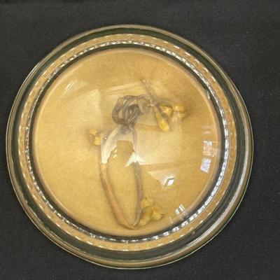 Collection of Glass Paper Weights and Figurines