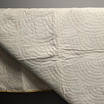 Ca. 1893 Embroidered Quilt Two Rows Of Embroidered Flowers Buds Stems & Leaves 86 x 80 Inches #38