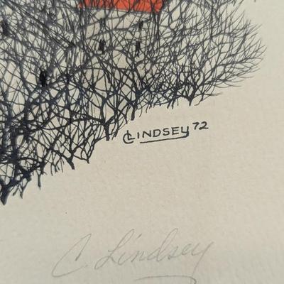 Framed Signed & Numbered Art By C. Lindsey 1972 Approx 17" x 13"