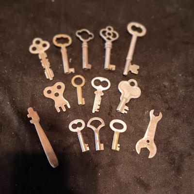 A COLLECTION OF SKELETON KEYS