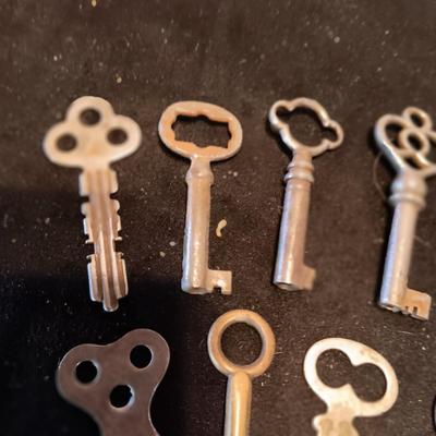 A COLLECTION OF SKELETON KEYS