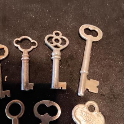 A COLLECTION OF SKELETON KEYS