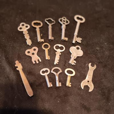 A COLLECTION OF SKELETON KEYS