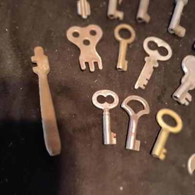 A COLLECTION OF SKELETON KEYS