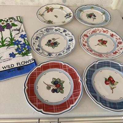 VILLEROY AND BOCH COTTAGE PLATE SET